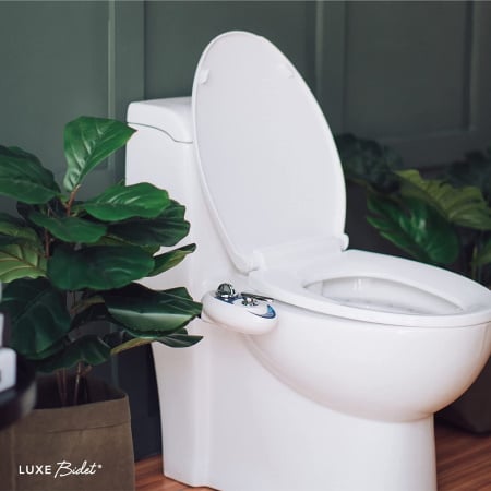 A toilet with a bidet insert installed shows controller with two dials.