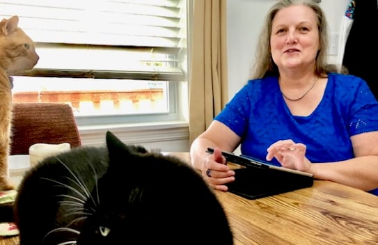 A woman using a tablet seated at a table with cats in foreground.