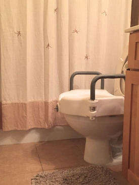 Toilet with attached elevated seat and grab bars.